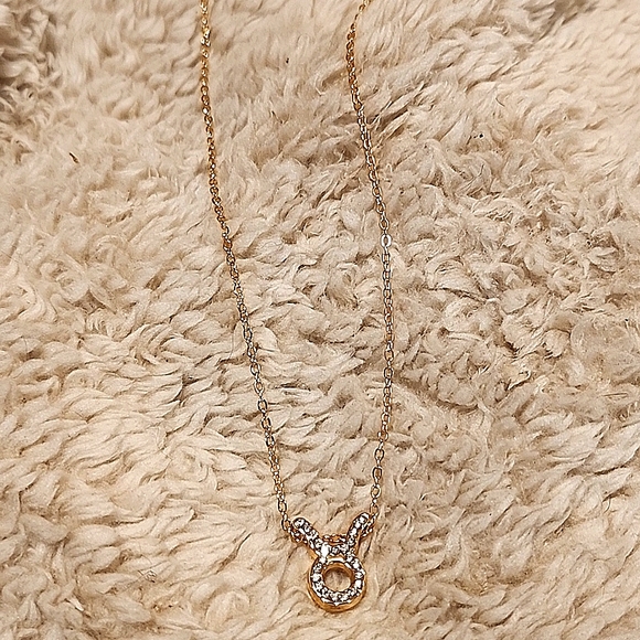 Dainty Taurus Necklace - Picture 5 of 6